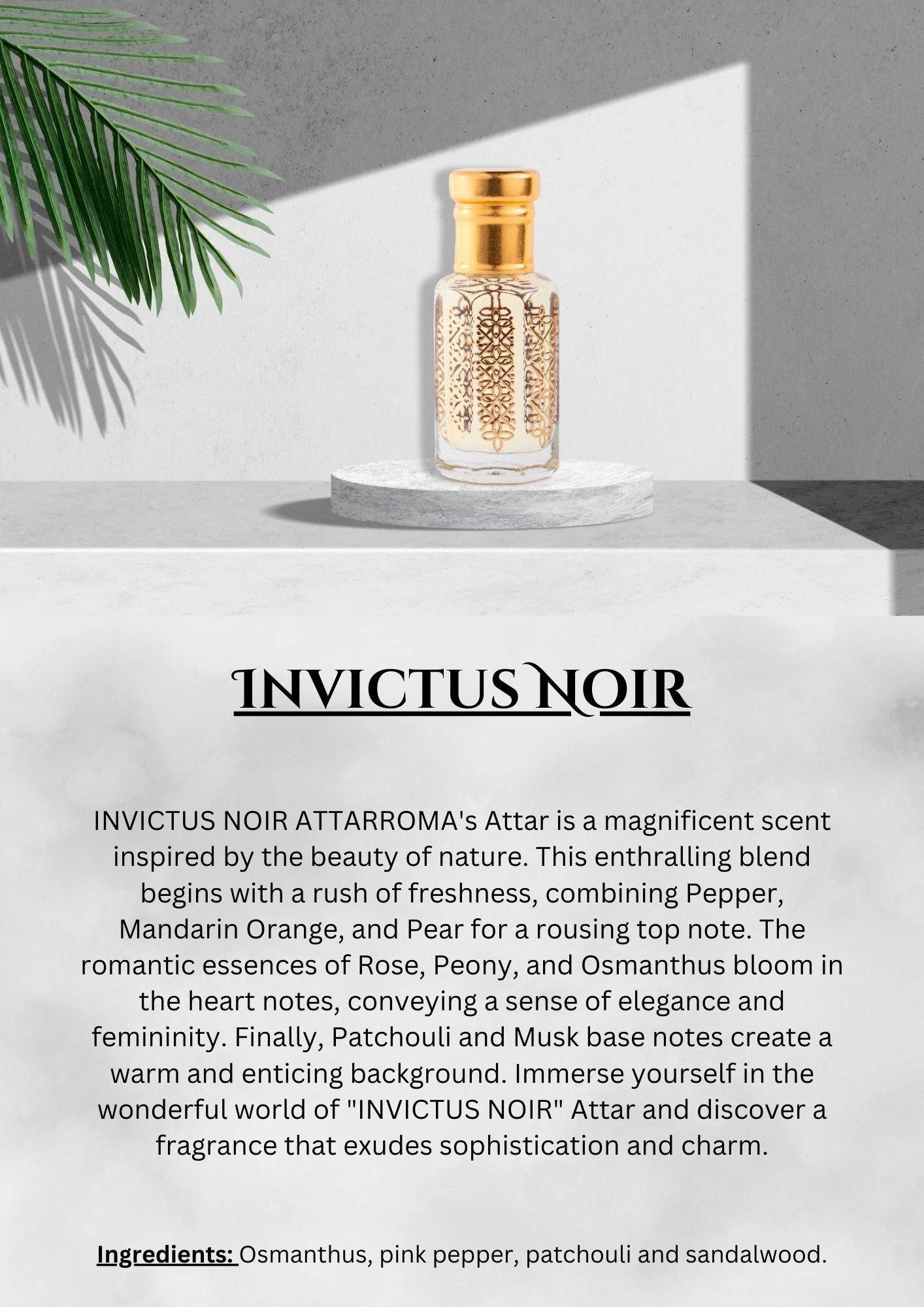 Invictus Noir 12ML (ONE TOLA)