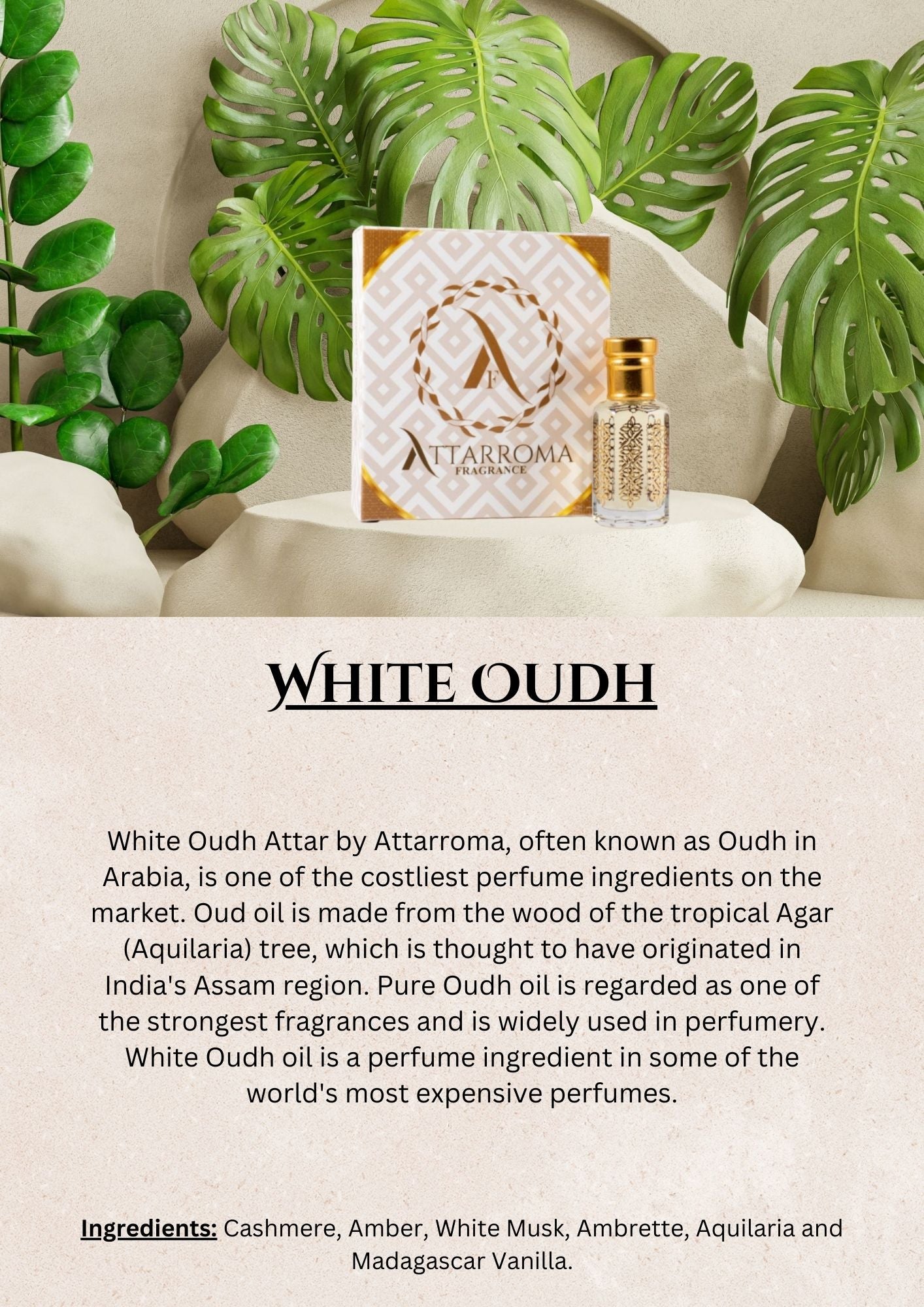 White Oudh 12ML (ONE TOLA)